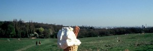 17593_ice_cream_cone
