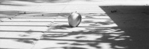 17906_2906c.ee