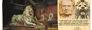17845_Lionist32 17845_Lionist32
