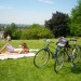 17965_sunbathing