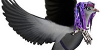 18003_camdenpigeon2010