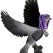 18003_camdenpigeon2010