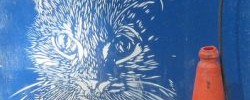 Image courtesy of Matt From London, with permission