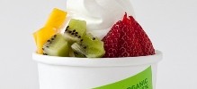 Free Frozen Yoghurt at Frae