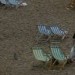 18276_Deckchair 18276_Deckchair