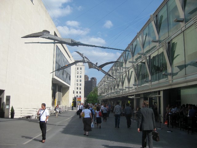 Pterosaurs.jpg