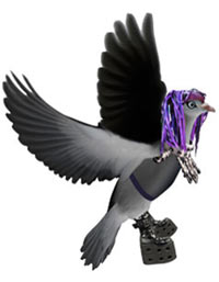 camdenpigeon2010.jpg
