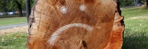 18306_0208c.ee