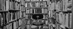 18321_bookshelves_030810 Photo by