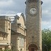 18488_hornimantiny 18488_hornimantiny