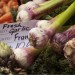 Food at Borough Market by Brandon Norris