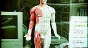 18738_acupuncture