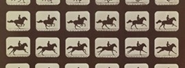Horses. Running. Phryne L. Plate 40, 1879, by Eadward Muybridge