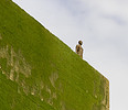 18793_1309_grass