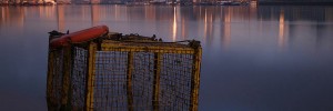 24289_tubblotc You could walk waterfront London with a Westminster Guide this Saturday or you could drop by Foyles Gallery and see our free exhibition Thames Barrier to Teddington. This picture by tubb is in it.