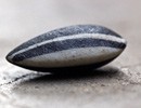 24311_1410_seed