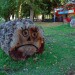 24389_potd_10_123