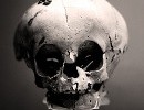 24417_2510.skull