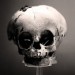 24417_2510.skull