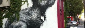 24426_ROArabbit
