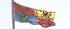 24461_royalstandard