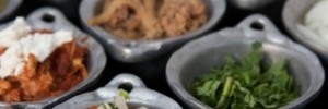 24477_mestizo2resize