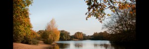 Autumn in Epping Forest