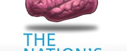 24542_nogginIcon_03