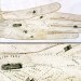 24543_glovemaps-150x150 24543_glovemaps-150x150