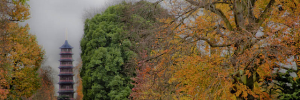 Autumn colours in Kew. Photo / Pryere.