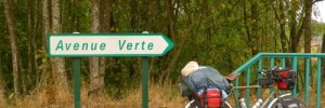 2511_verte