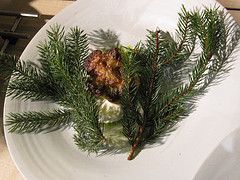 5178997082_1700900485_m.jpg