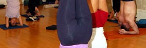 bodywise