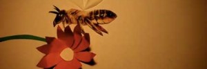 beesponsor