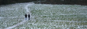 Snow on Hampstead Heath