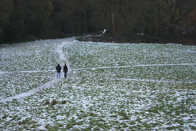Snow on Hampstead Heath