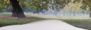 snowdrift