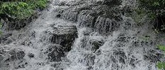 Splish, splash it's the River Wandle