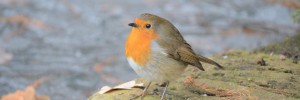 D7k_2010-12-23_10-35-41