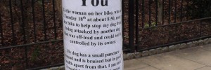 Bikedogthanks