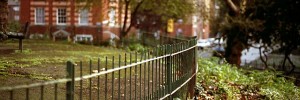 arnold_circus