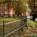 arnold_circus arnold_circus