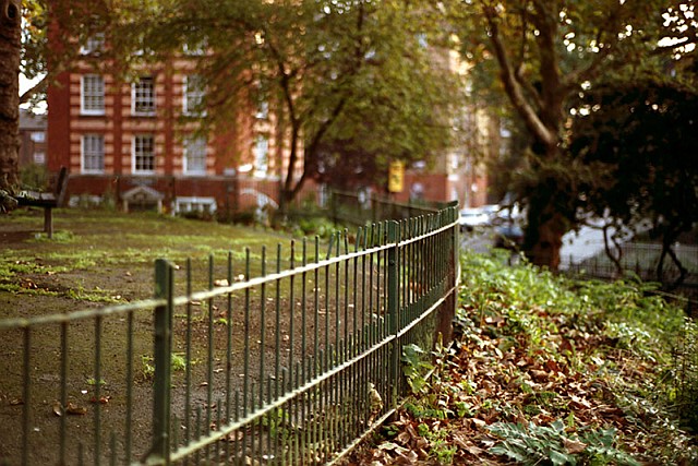 arnold_circus