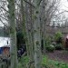 camleystlotc