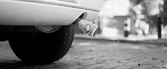 exhaustdick