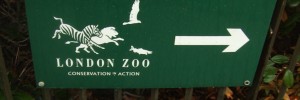 London Zoo sign