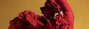 Flamenco Festival. Photo by Javier Suárez