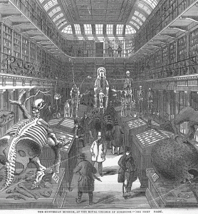 Hunterian_Museumold