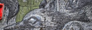 Roa5