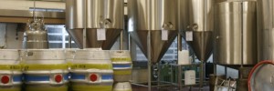 Fermentation vats